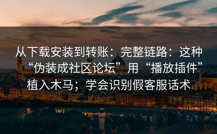 从下载安装到转账：完整链路：这种“伪装成社区论坛”用“播放插件”植入木马；学会识别假客服话术  第1张